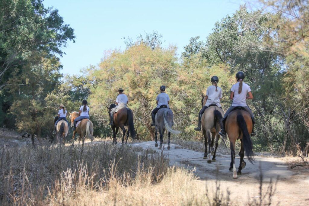 ruta caballo 4