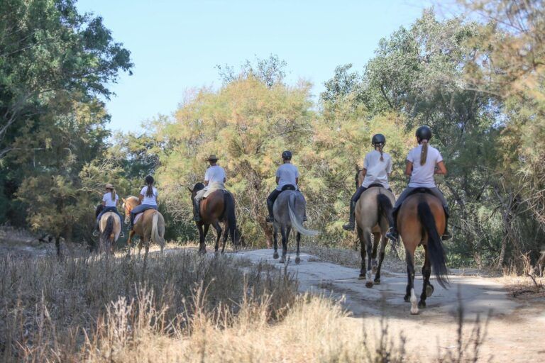 ruta caballo 4