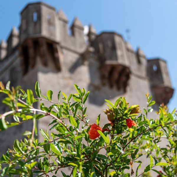 Castillo Almodovar 2