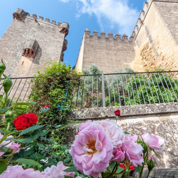 Castillo Almodovar 5