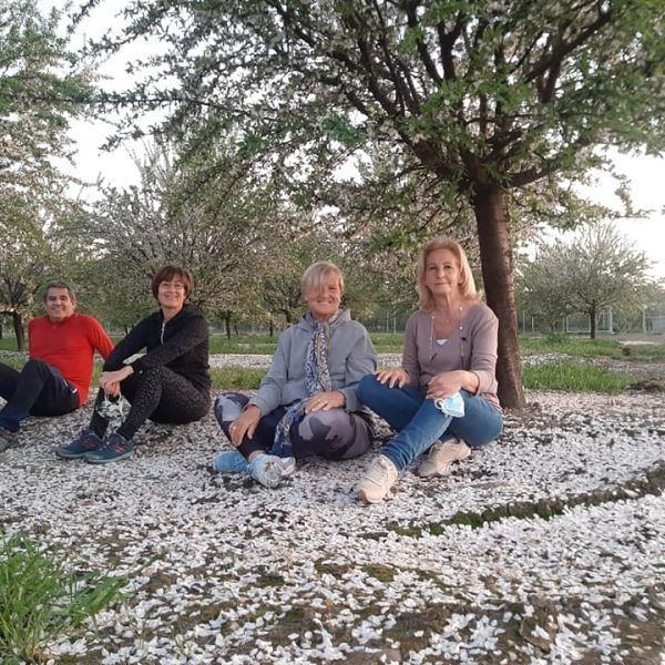 almendros en flor 1