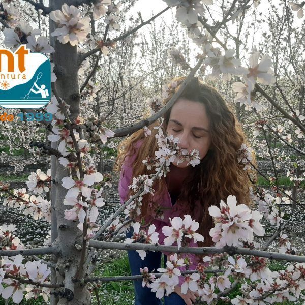 almendros en flor 12