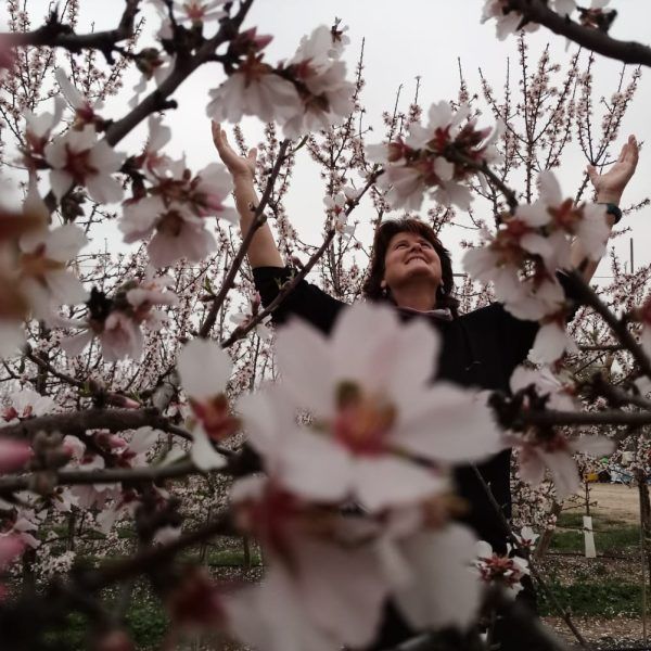 almendros en flor 4