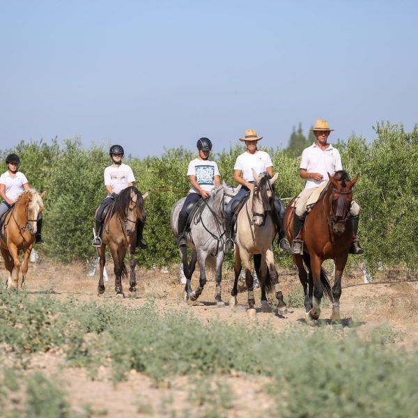 ruta caballo 11