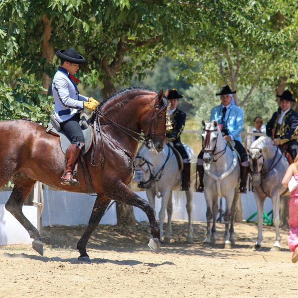 ruta caballo 2