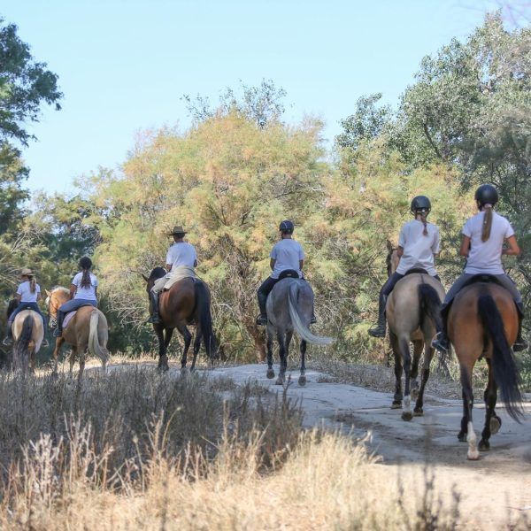ruta caballo 4