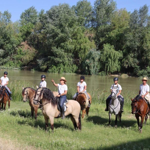 ruta caballo 5