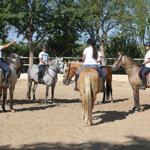 ruta caballo 6