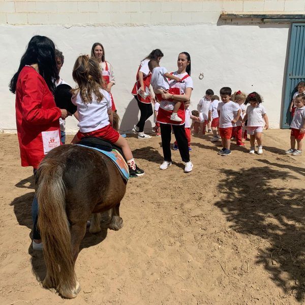 ruta caballo 9